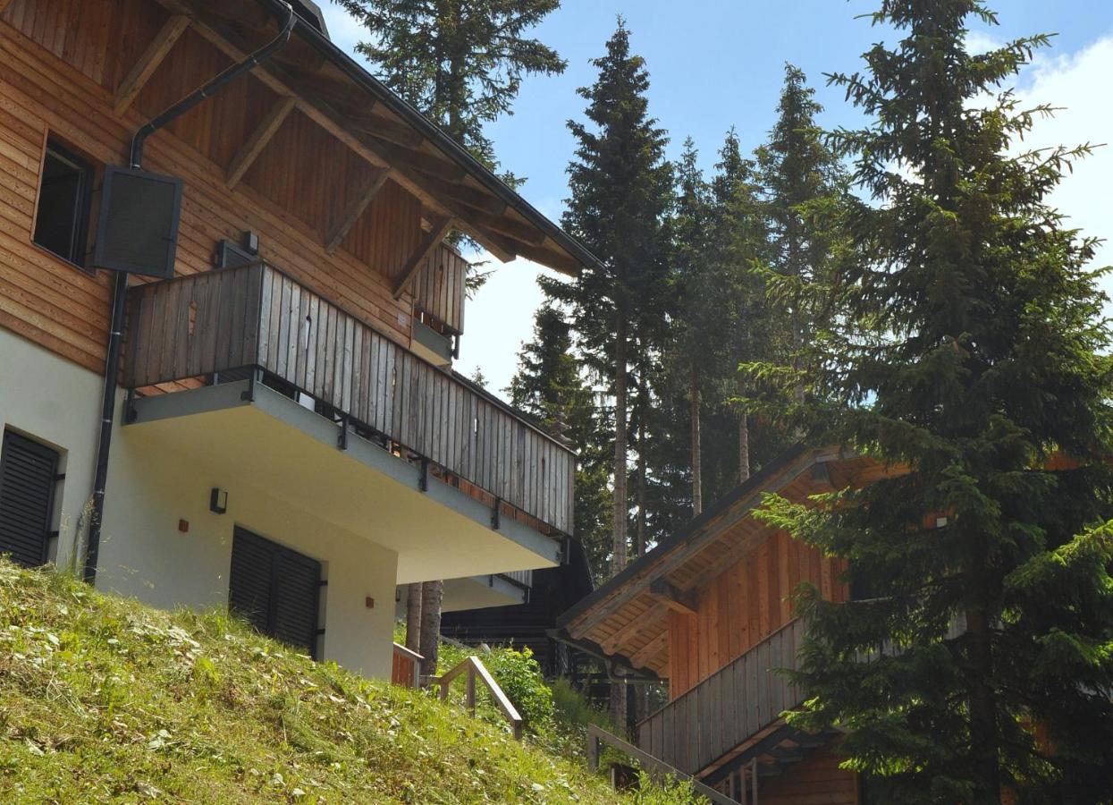 Apartmán Mountain Pearl Golte